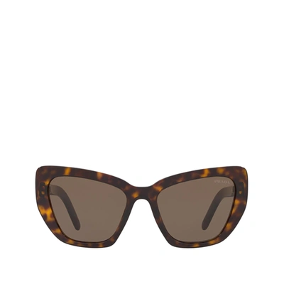 Prada Cat-eye Acetate Sunglasses In Brown