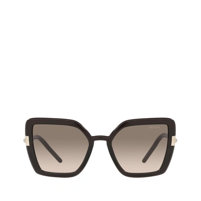 Prada Pr 09ws Crystal Dark Brown Sunglasses In .