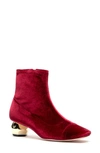 Frances Valentine Marni Bootie In Berry