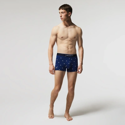 Lacoste Men's Casual Signature Boxer Trunks 3-pack - Xl In Blue
