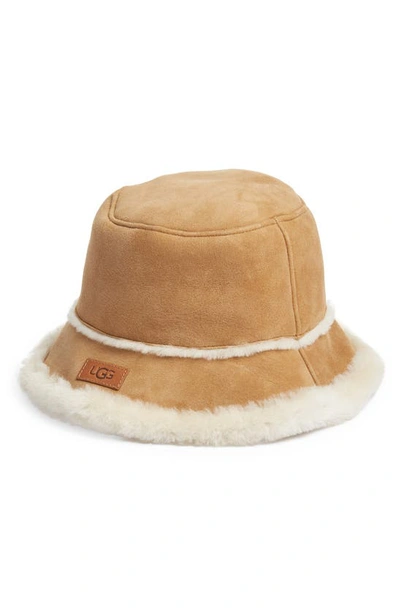 Ugg Women's Sheepskin Bucket Hat In Chestnut