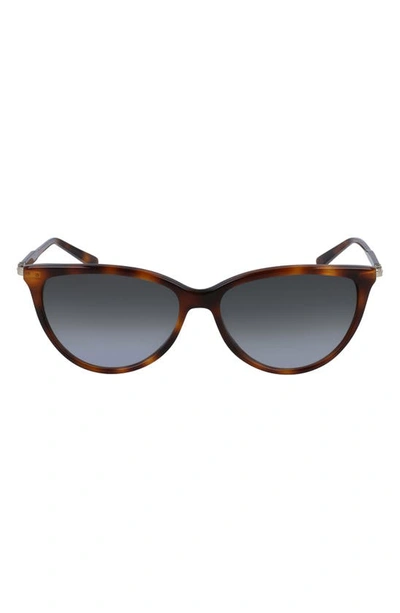 Ferragamo Timeless 5mm Cat Eye Sunglasses In Tortoise