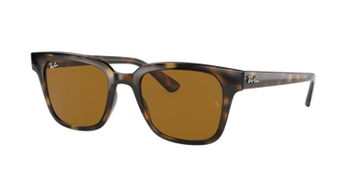 Ray Ban Ray In Braun Klassisch B-15