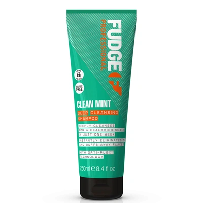 Fudge Professional Clean Mint Shampoo 250ml