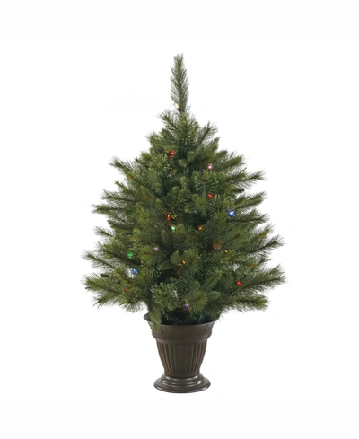 Vickerman 3.5 Ft Cashmere Artificial Christmas Tree With 50 Multi-colored Lights