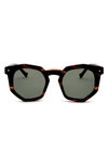 Grey Ant 47mm Round Sunglasses In Tortoise/ Olive