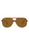 Ray Ban 60mm Square Sunglasses In Striped Havana/ Brown