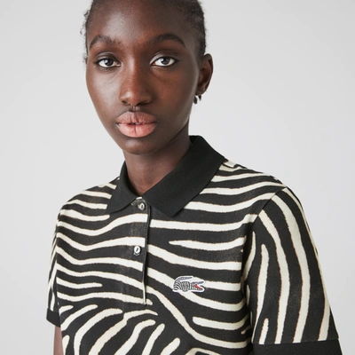 Lacoste Polo Shirt Lacoste X National Geographic Collection