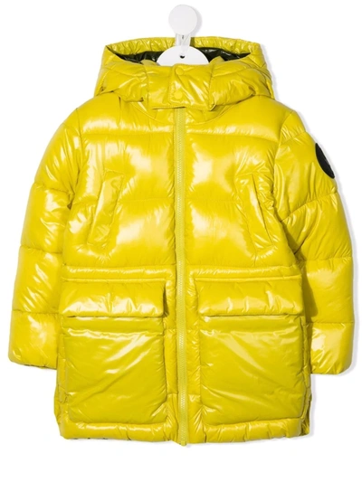 Save The Duck Kids' Zip-up Hooded Padded Coat In Yellow