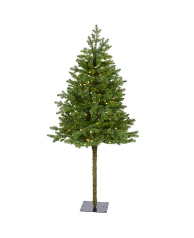 Nearly Natural Swiss Alpine Artificial Christmas Tree With 150 Clear Led Lights And 270 Bendable Branches In Green