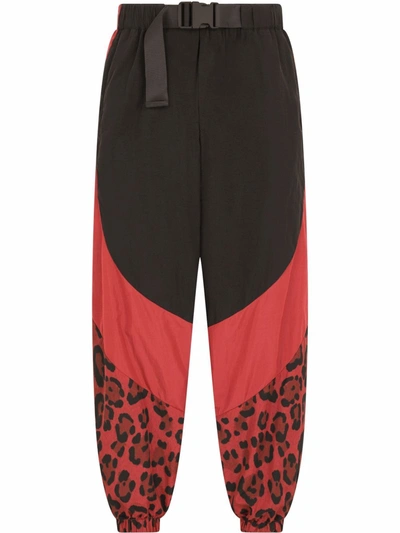 Dolce & Gabbana Nylon Trouser With Animalier Print - Atterley In Black