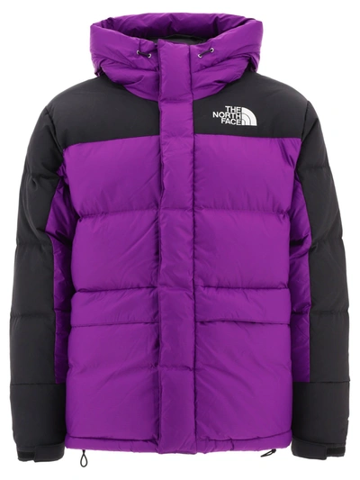Down The North Face | ModeSens