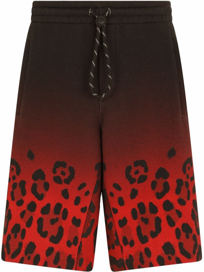 Dolce & Gabbana Red And Black Leopard Print Cotton Bermuda Shorts