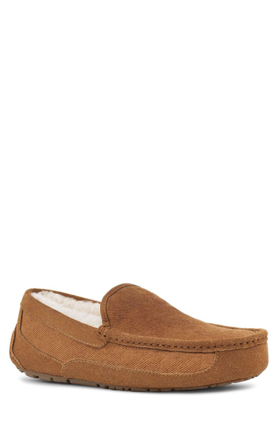 Ugg Ascot Corduroy Ii Plush Lined Driver In Chestnut