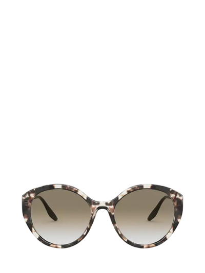 Prada Pr 18xs Ivory Havana Female Sunglasses In Brown