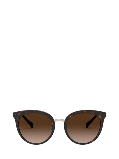 Emporio Armani Ea4145 Shiny Havana Sunglasses