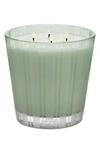 Nest New York Nest Fragrances Wild Mint & Eucalyptus Luxury 4 Wick Candle In Green