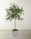 Winward Long Eucalyptus In Cache Pot