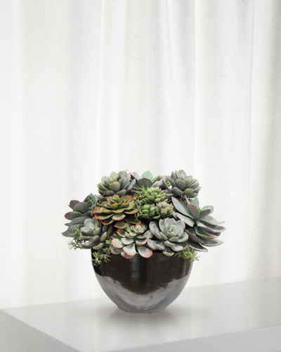 Winward Mix Succulent In Ceramic Bowl
