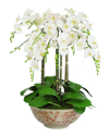 Winward Orchids In Long Life Bowl