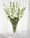Winward Gladiolus In Cut Vase