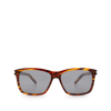 SAINT LAURENT SAINT LAURENT SL 339 HAVANA MALE SUNGLASSES