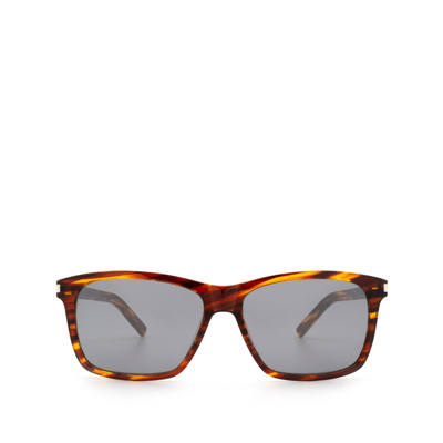 Saint Laurent Sl 339 Havana Sunglasses