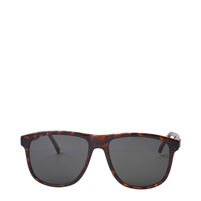 Saint Laurent Sl 334 Dark Havana Sunglasses