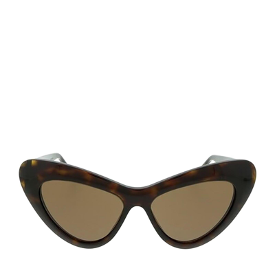 Gucci Gg0895s Dark Havana Female Sunglasses In Brown