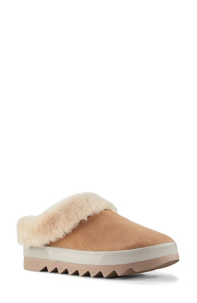 Cougar Pronya Genuine Shearling Slide In Camel Suede