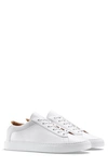 Koio Capri Leather Sneaker In Avorio