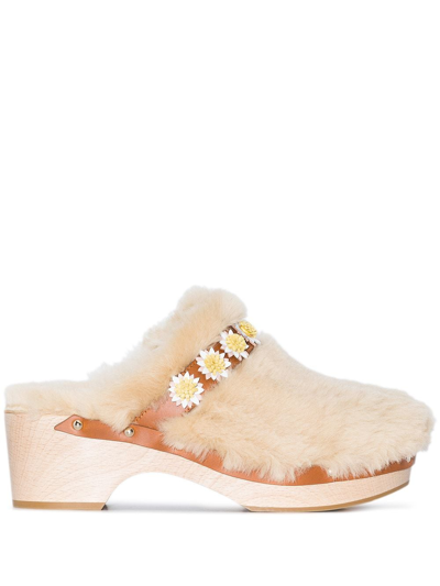 Fabrizio Viti Jean Daisy Shearling Clogs In Neutrals | ModeSens