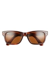 Ray Ban 55mm Rectangular Sunglasses In Striped Havana/ Brown