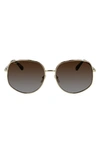 Ferragamo 61mm Gancini Oversize Sunglasses In Gold/tokyo Tortoise