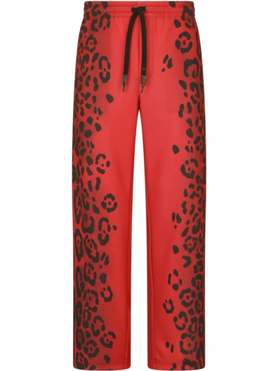Dolce & Gabbana Men's Wide-leg Leopard Track Pants In Red