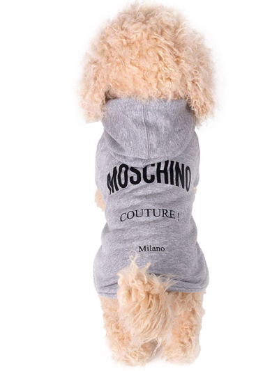 Moschino Cotton Logo Dog Hoodie In Grey Melange
