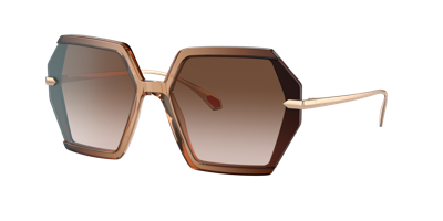 Bvlgari Woman Sunglasses Bv8240 In Brown Gradient