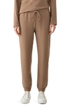 Eileen Fisher Wool Tapered Ankle Pants In Cinnamon