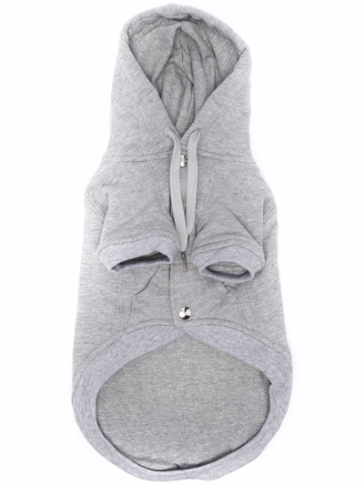 Moschino Logo-print Pet Sweater Vest In Grey