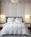 BEAUTYREST WHITE FEATHER & DOWN ALL SEASON COMFORTER, FULL/QUEEN