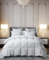 Beautyrest White Feather & Down Fiber All Season Lyocell Cotton Blend Comforter, Full/queen In White