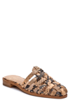 Vince Camuto Cresetia Woven Leather Mule In Sandstone