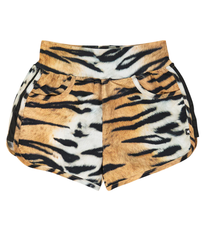 Molo Kids' Neva Tiger-print Swim Trunks In Tiger Stripes