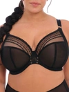 Elomi Matilda Full Figure Matilda Underwire Bra El8900, Online Only In Black Star