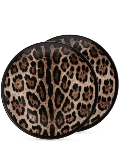 Dolce & Gabbana Leopard-print Porcelain Dessert Plates (set Of 2) In Brown