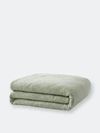 Sunday Citizen Snug Comforter In Green