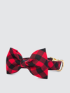THE FOGGY DOG THE FOGGY DOG RED AND BLACK BUFFALO CHECK BOW TIE COLLAR