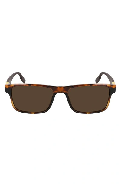 Converse Rise Up 55mm Sunglasses In Amber Tortoise