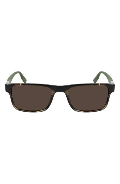 Converse Rise Up 55mm Sunglasses In Cargo Tortoise