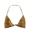 Ganni Cheetah-print Recycled Halterneck Bikini Top In Bright Marigold